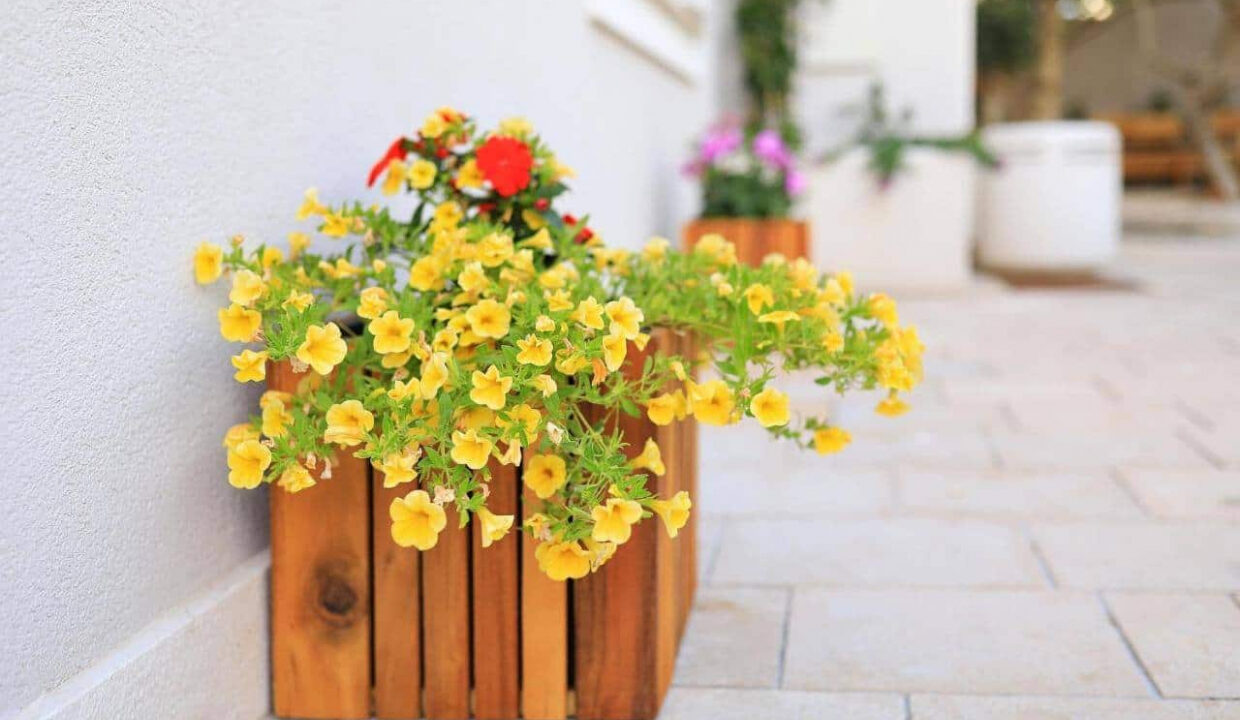 Appartementhaus in Zadar