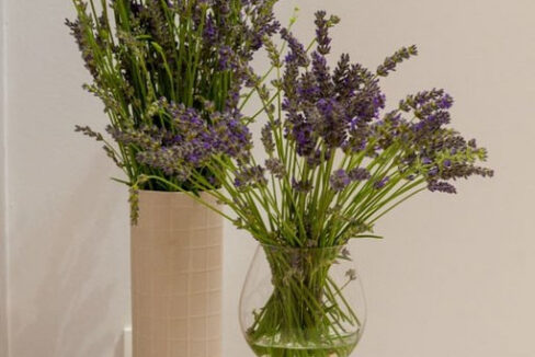 Städtische Villa auf einer bezaubernden Insel Ciovo, Region Split