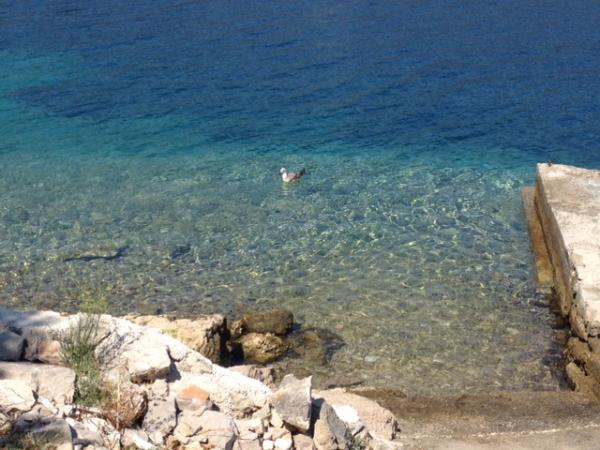 Haus am Meer auf der Insel Drvenik Veliki