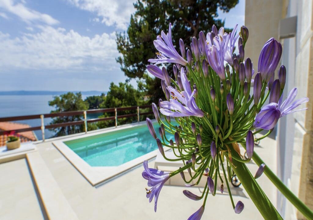 Steinhaus mit Meerblick auf der Insel Brac